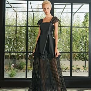 Elegant Black Taffeta & Illusion Dress